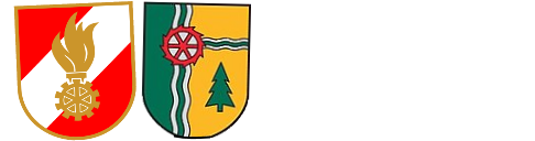 logo_FF_P_white1