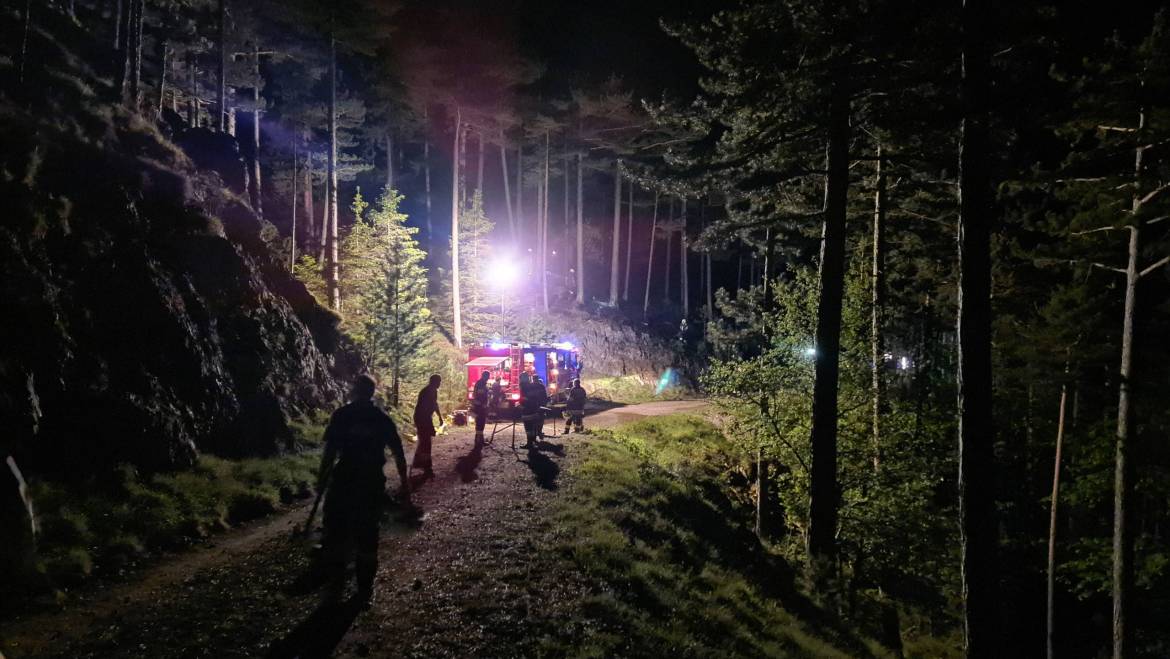 ASSISTENZEINSATZ BEI WALDBRAND IN DER STEINAPIESTING