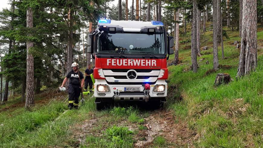 WALDBRAND IN GUTENSTEIN, WEISSENBACHGRABEN