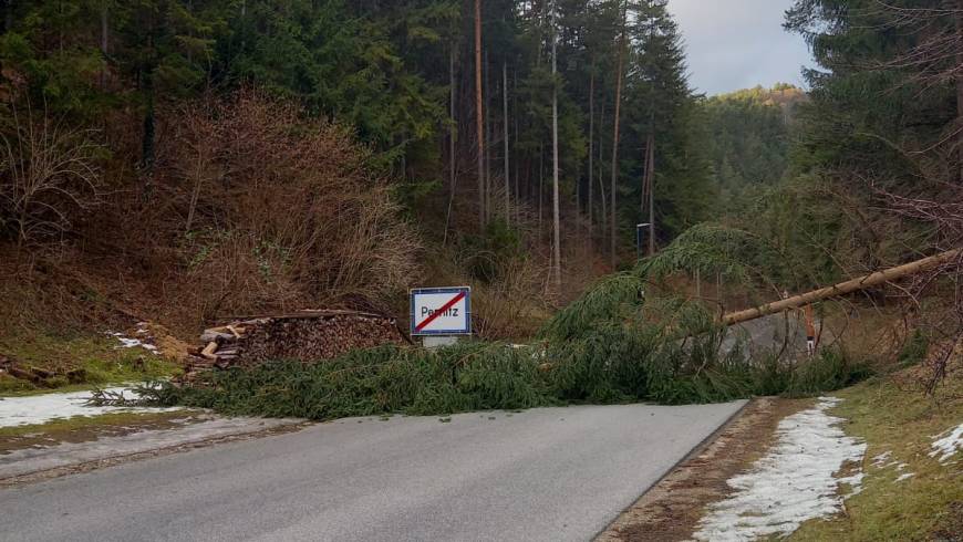 Sturm „Nadia“ auch in Pernitz präsent -Teil 2