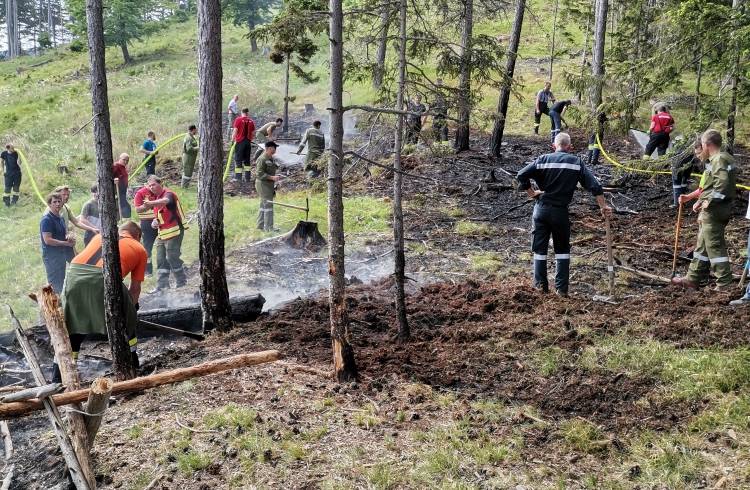 Waldbrand im Katzberg