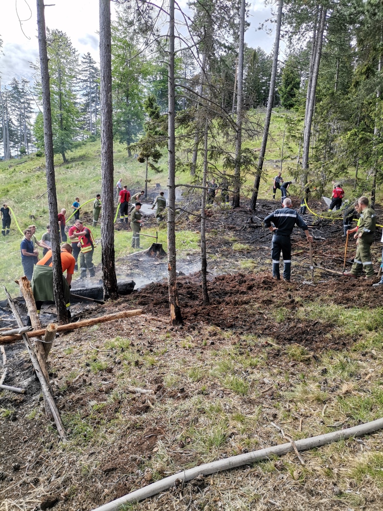 Waldbrand im Katzberg