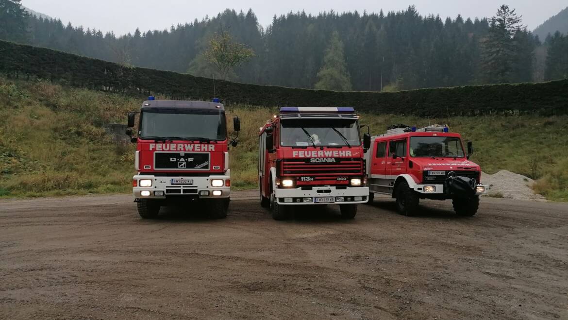 WALDBRANDÜBUNG IN NASSWALD