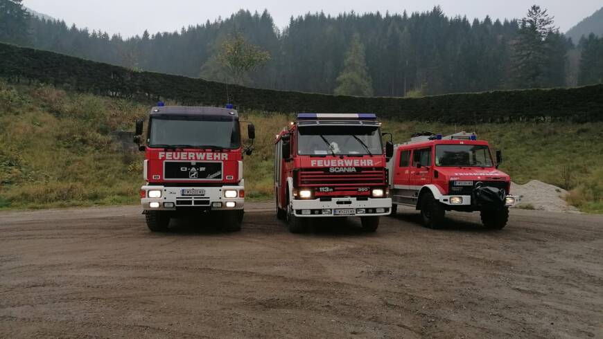 WALDBRANDÜBUNG IN NASSWALD