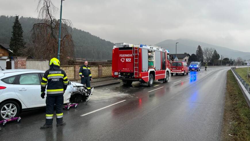 PKW gegen Zaun