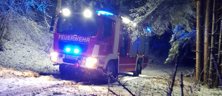 Bergung eines LKW am Waxeneck