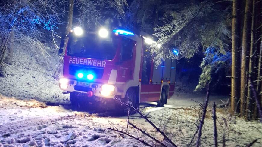 STURM-/SCHNEESCHADEN IN FEICHTENBACH