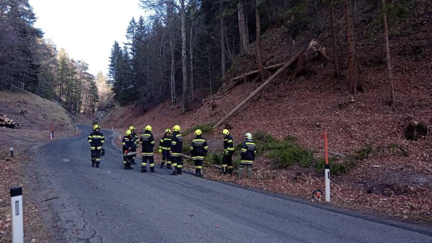 STURMSCHADEN IN SCHÄRFTAL