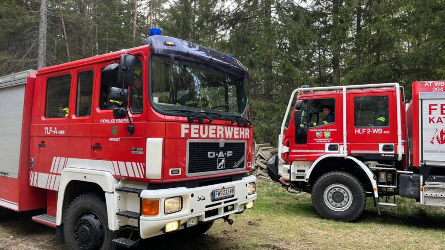 Gruppenübung der Waldbrandgruppe mit Beteiligung der Feuerwehr Pernitz