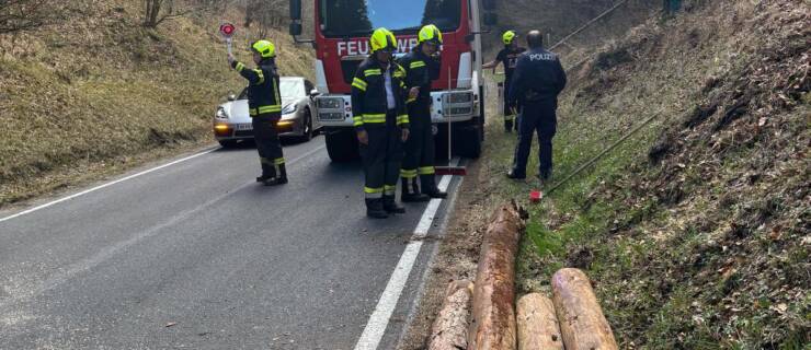 Baum über Straße