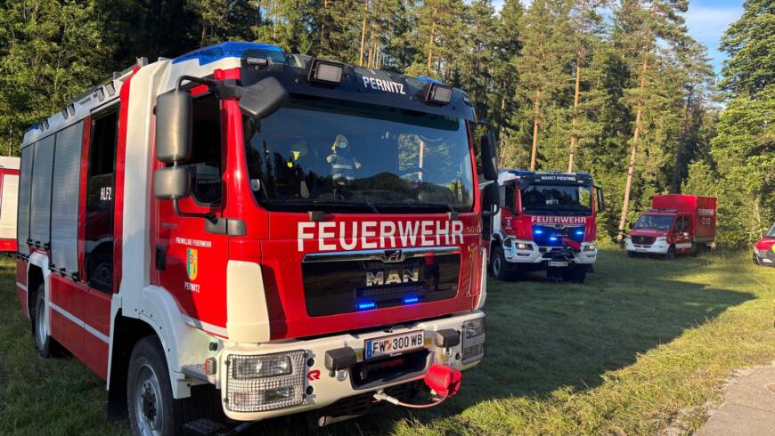 Großaufgebot beim Waldbrand in Gutenstein