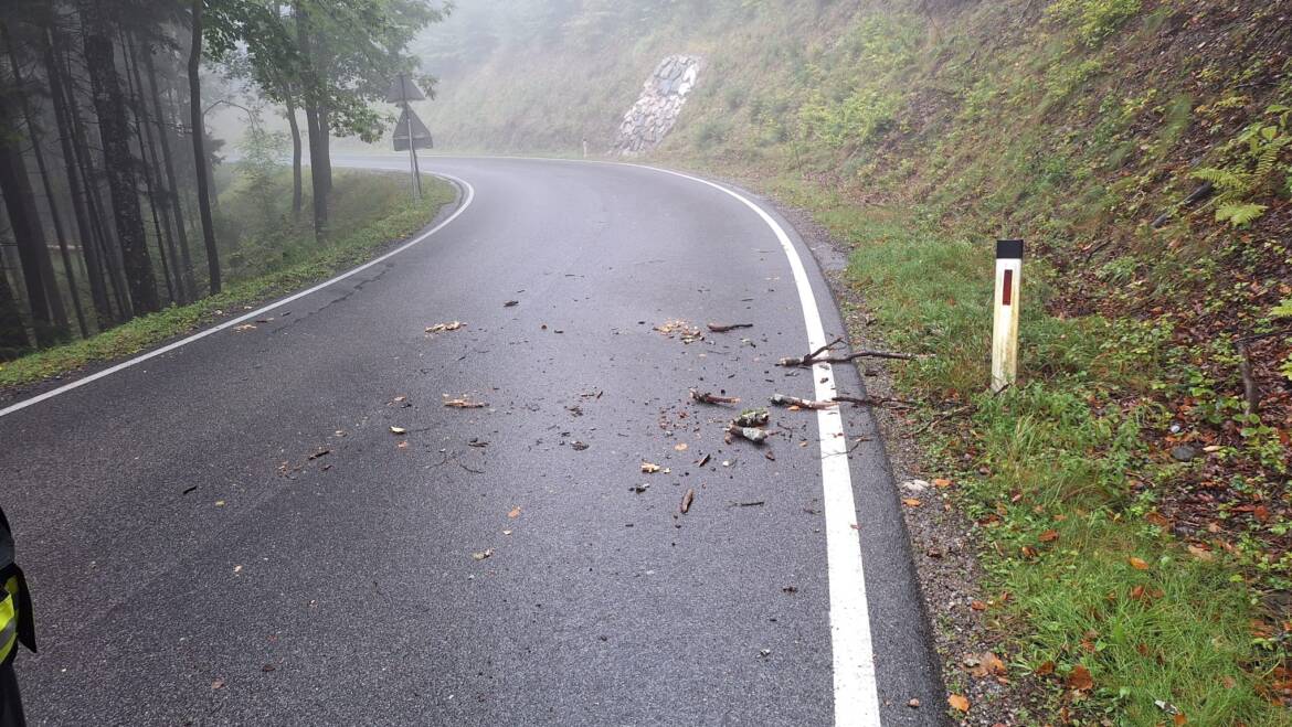 Baumteile auf Fahrbahn