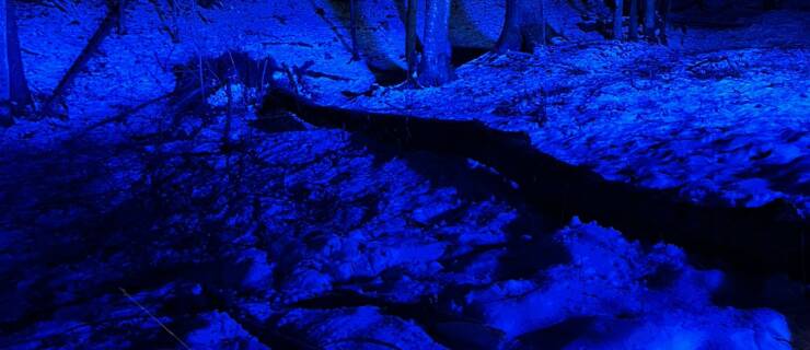 Nächtlicher Einsatz am 31.12.