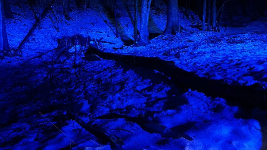 Nächtlicher Einsatz am 31.12.