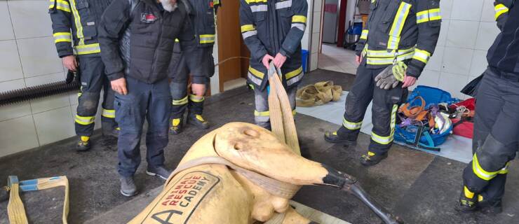 Schulung – Rettung von Großtieren