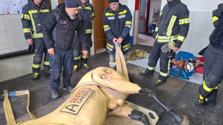 Schulung – Rettung von Großtieren