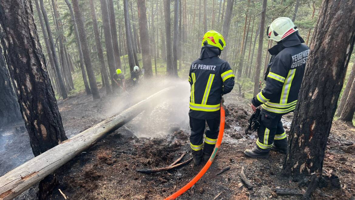 Neuerliches Aufflammen nach Waldbrand in Gutenstein