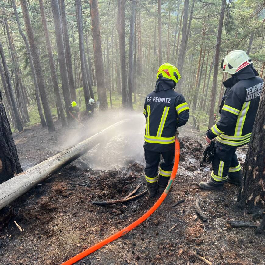 Neuerliches Aufflammen nach Waldbrand in Gutenstein