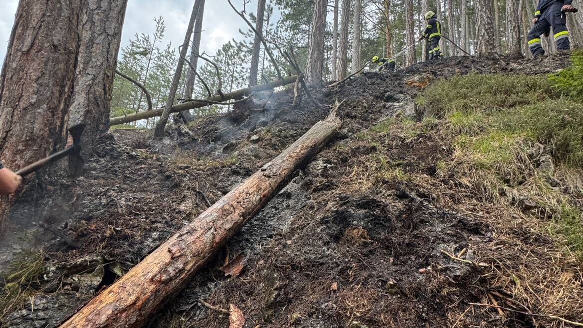 Waldbrand im Bereich Zellenbach