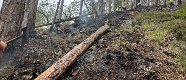 Waldbrand im Bereich Zellenbach