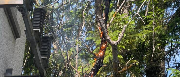 Trafobrand in Gutenstein-Vorderbruck