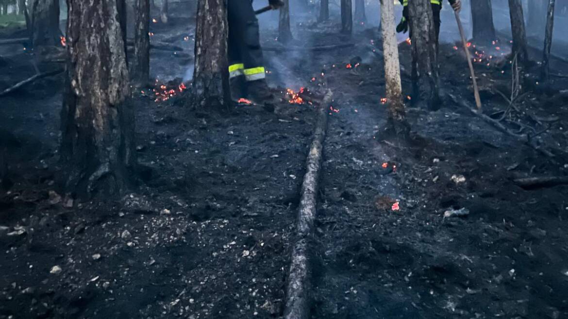 Waldbrand im Matzingtal