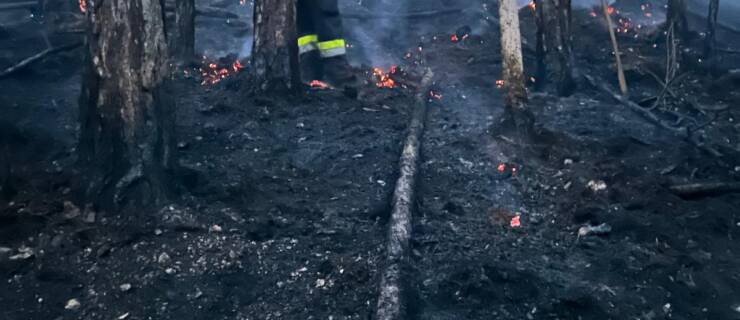 Waldbrand im Matzingtal