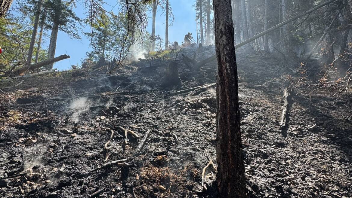 Waldbrand im Raum Felsboden