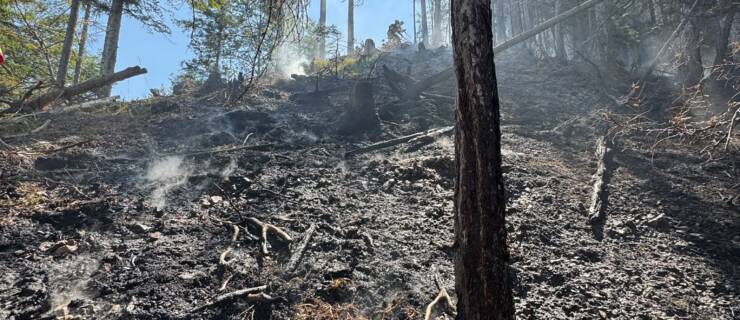 Waldbrand im Raum Felsboden