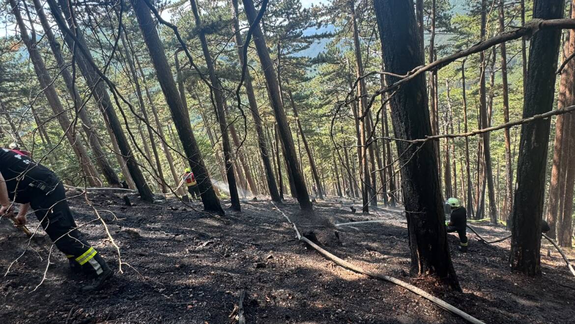 Waldbrand in Waldegg