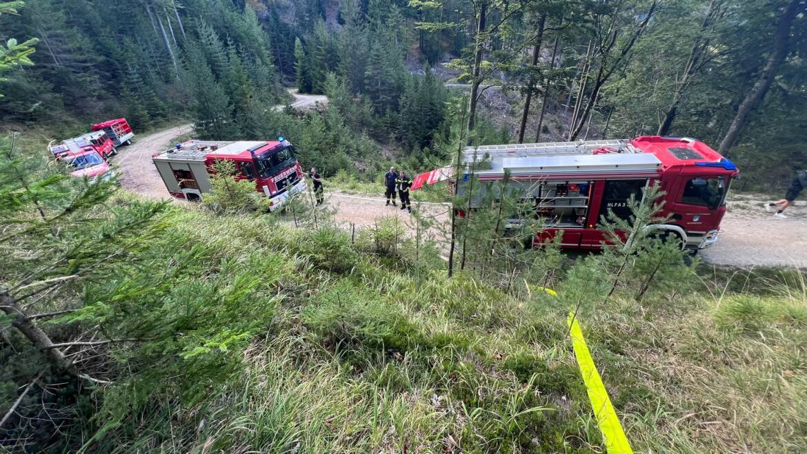 Waldbrand im Bereich Pfaffen Thal