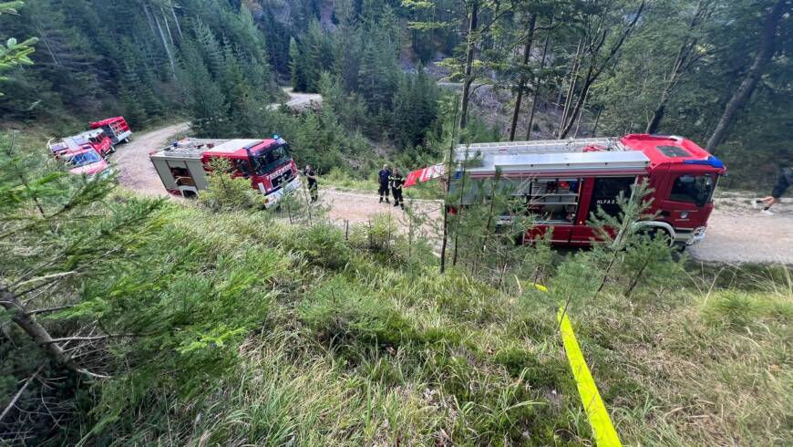 Waldbrand im Bereich Pfaffen Thal